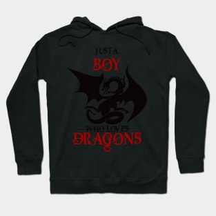 Just a boy who loves dragons Hoodie